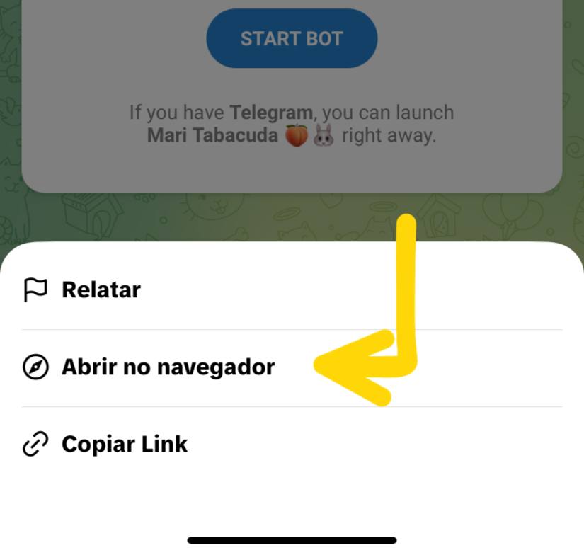 Passo 2 - Abrir no navegador